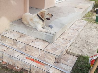 Carrelage extérieure a mont de marsan